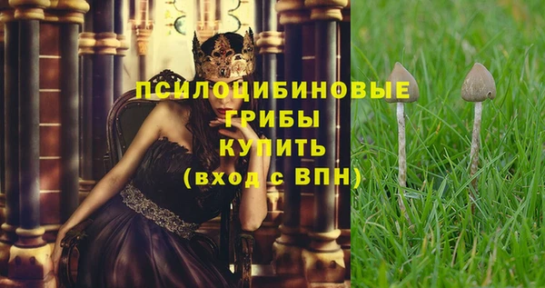 MDMA Premium VHQ Инсар